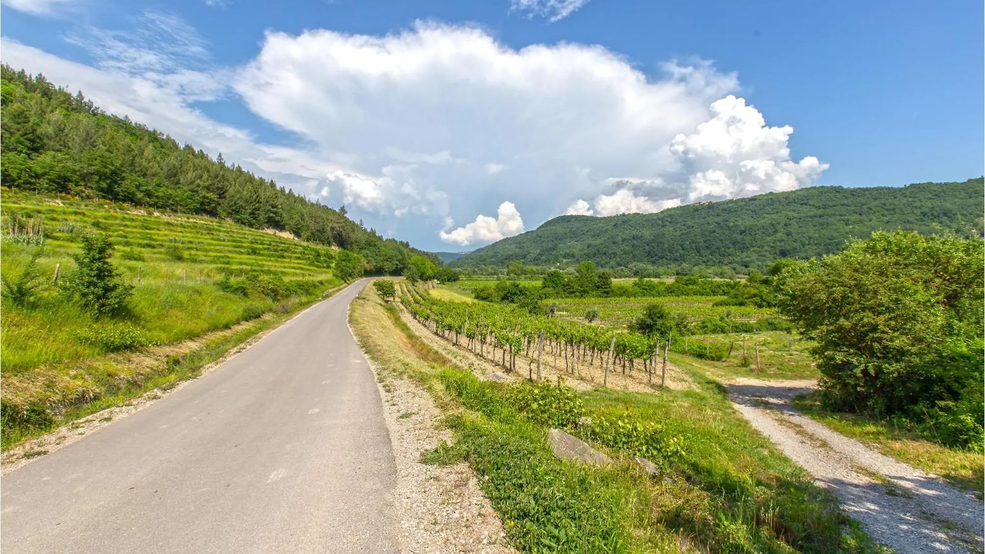 Beautiful Home In Smarje With Kitchen Krkavce Holiday home