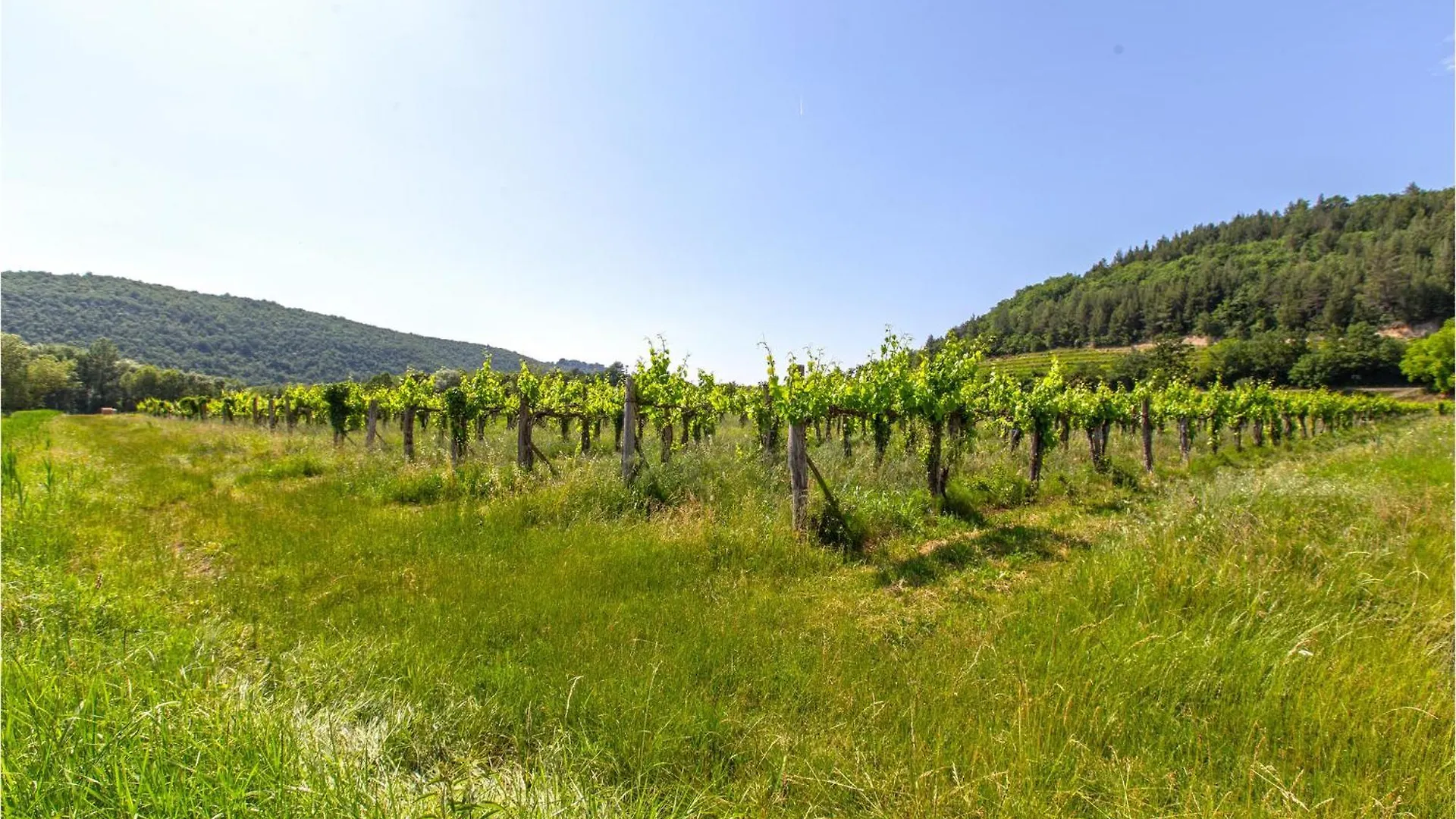 Holiday home Beautiful Home In Smarje With Kitchen Krkavce Slovenia